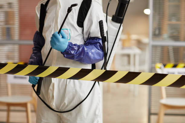 Professional Sewage Cleanup technician working in Highland, UT